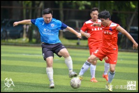 开云体育APP下载包含足球超级杯上演强强对话，燕赵霹雳队鏖战岭东天虎队，多点开花奏效；全面提速抢占先机的词条